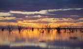 Sunset Strip, Lake Menindee