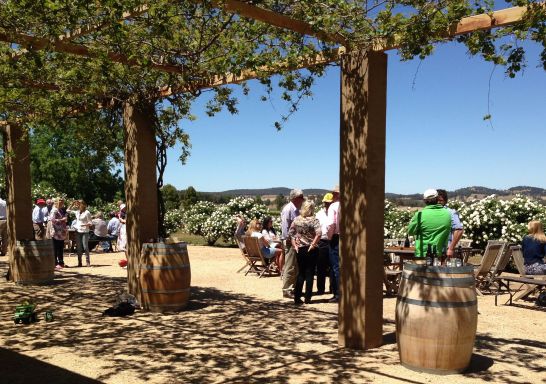 Garden wine tasting near a pergola at Wallington Wines, Canowindra