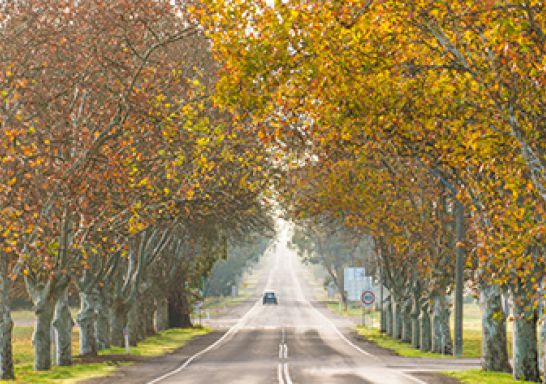 Riverina to Snowy Valleys Way