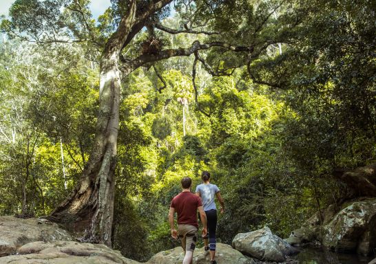 Couple enjoying a hike to Cascade Falls in Macquarie National Park