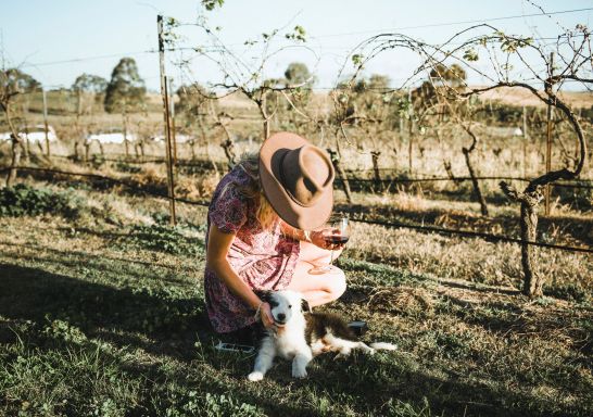 Woman patting the resident wine dog at Blueberry Hill Wines, Rothbury